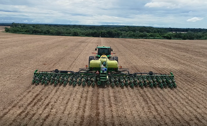 Expansão no plantio de algodão em Mato Grosso enfrenta desafios climáticos e preocupa com ritmo da colheita